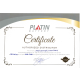 PLATIN EFB MF 60Ah 560A R+ (L2)