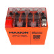 Мото акумулятор MAXION 24MXBM-YTX14-BS GEL (12V, 14Ah, 150A, +/-)