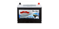 SZNAJDER Silver Premium