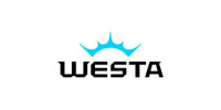  Акумулятори FORSE (Україна, завод: WESTA) 